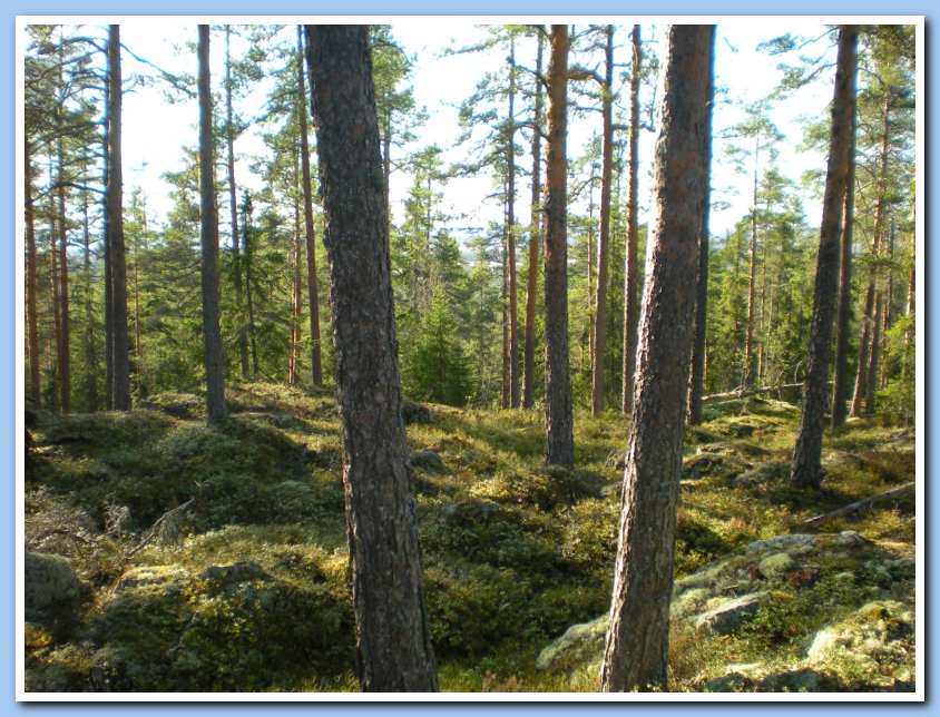 vatpakka 171